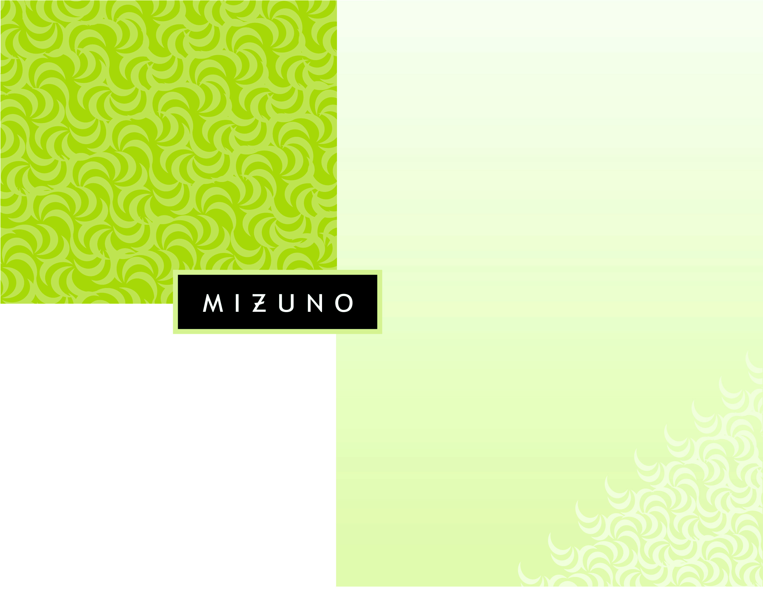 Mizuno Advertising